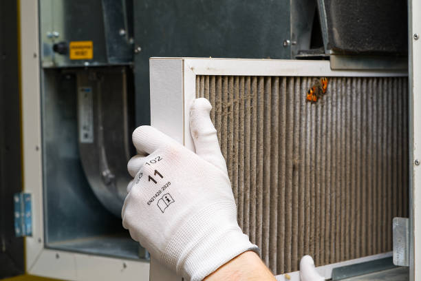 Best Affordable HVAC Duct Cleaning  in Bridge City, TX