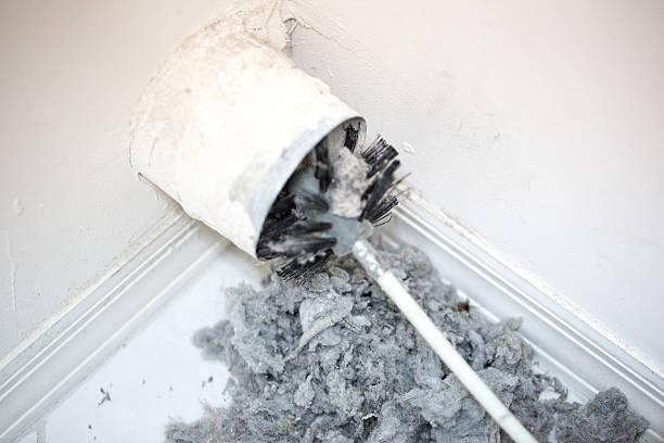 Best Air Vent Cleaning Services  in Bridge City, TX